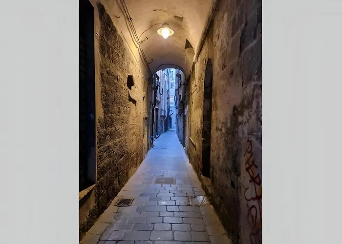 Doge Grimaldi - Davanti All'acquario - Grande Terrazza Privata - Palazzo Nobiliare Storico Daire *